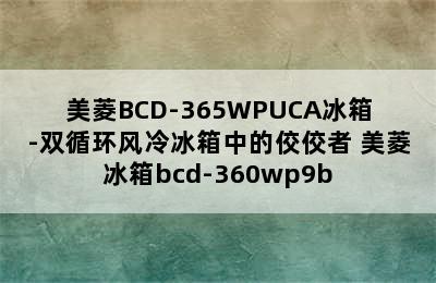 美菱BCD-365WPUCA冰箱-双循环风冷冰箱中的佼佼者 美菱冰箱bcd-360wp9b